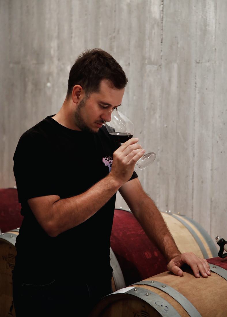 Degustazione di un vino rosso in cantina